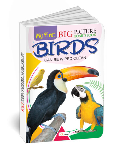 My First Big Picture Board Book Birds : Fun educational books for toddlers, Learning book for preschoolers, Picture board book for kids, Montessori learning book for toddlers